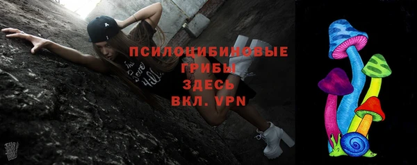 Альфа ПВП Лиски