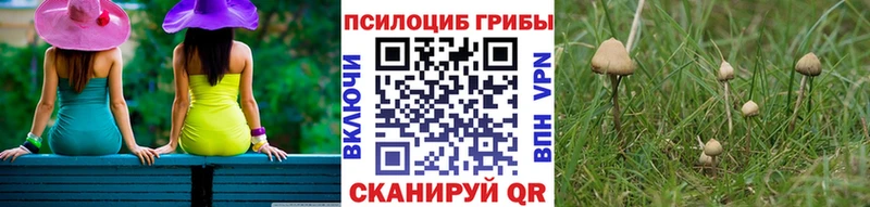 Псилоцибиновые грибы Magic Shrooms  Нижний Новгород 