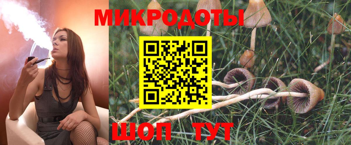 Псилоцибиновые грибы Cubensis  Нижний Новгород 