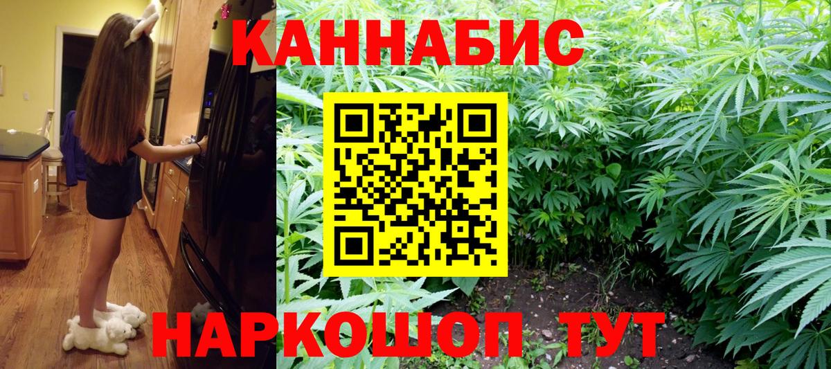 Бошки марихуана план Нижний Новгород